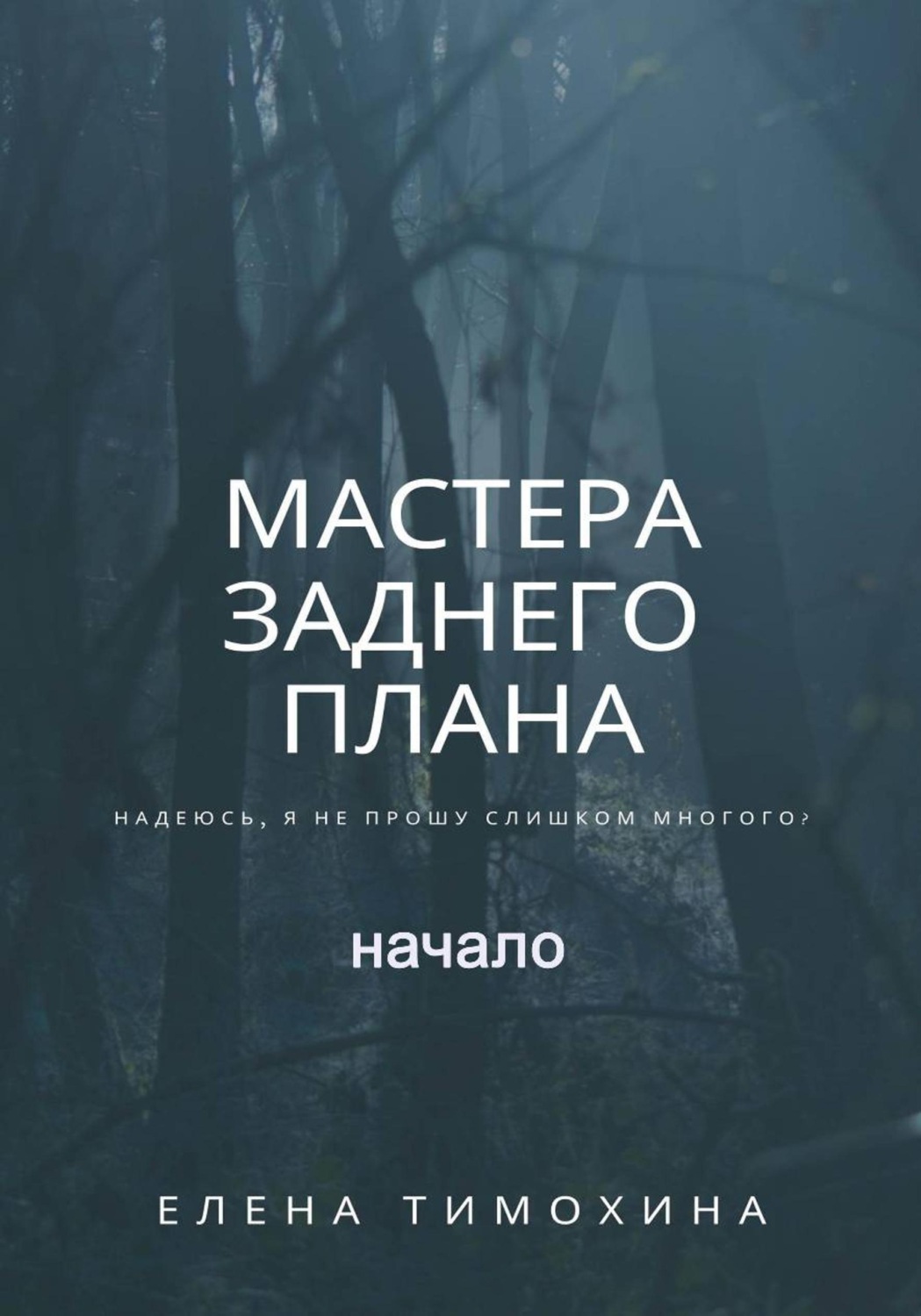 Обложка книги «Мастера заднего плана, начало»