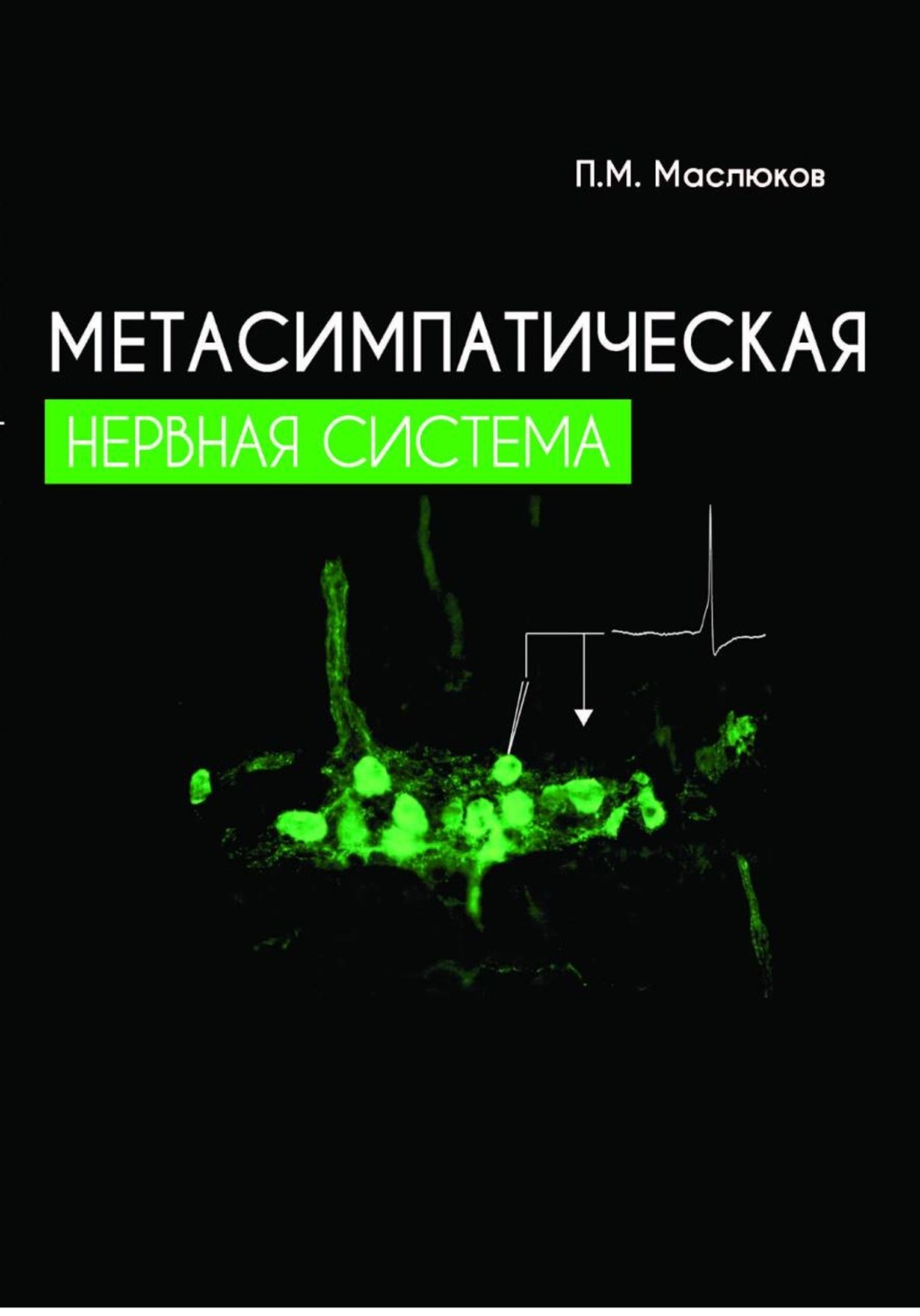 Обложка книги «Метасимпатическая нервная система»
