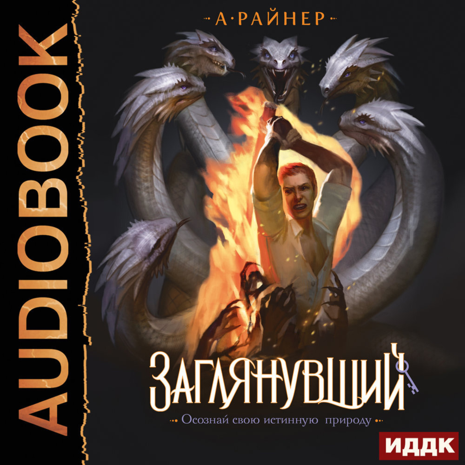 Обложка книги «Заглянувший»
