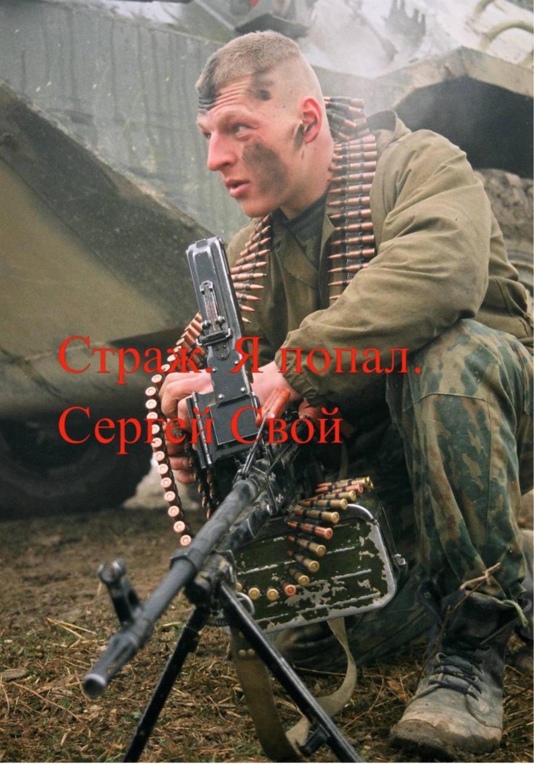 Обложка книги «Страж. Я попал»