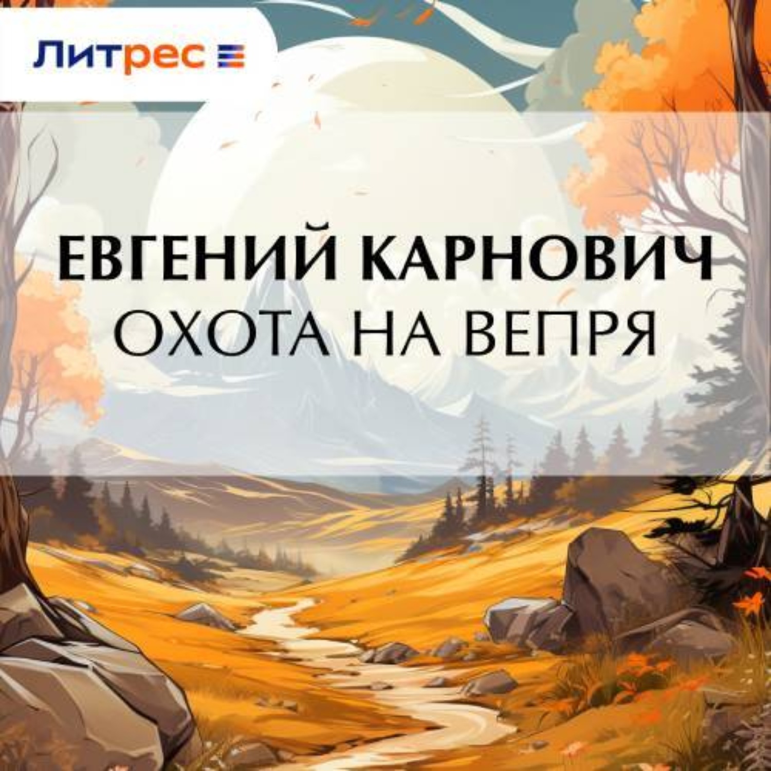 Обложка книги «Охота на вепря»