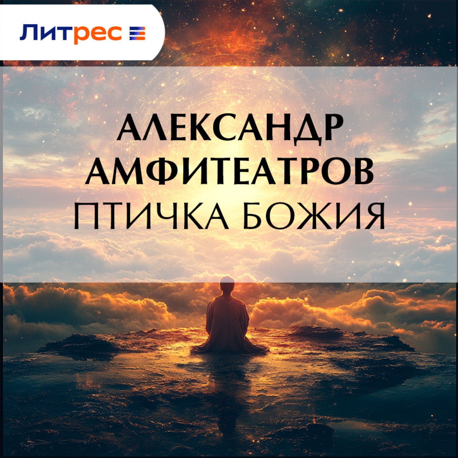 Обложка книги «Птичка Божия»