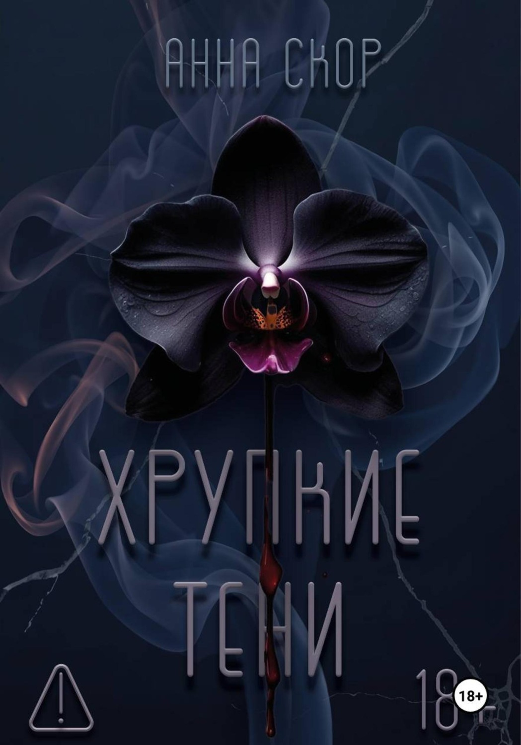 Обложка книги «Хрупкие тени»