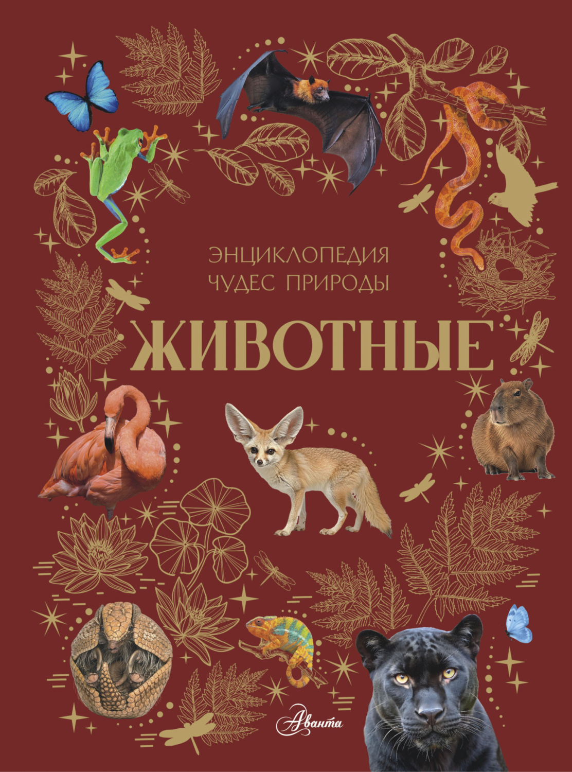 Обложка книги «Животные»
