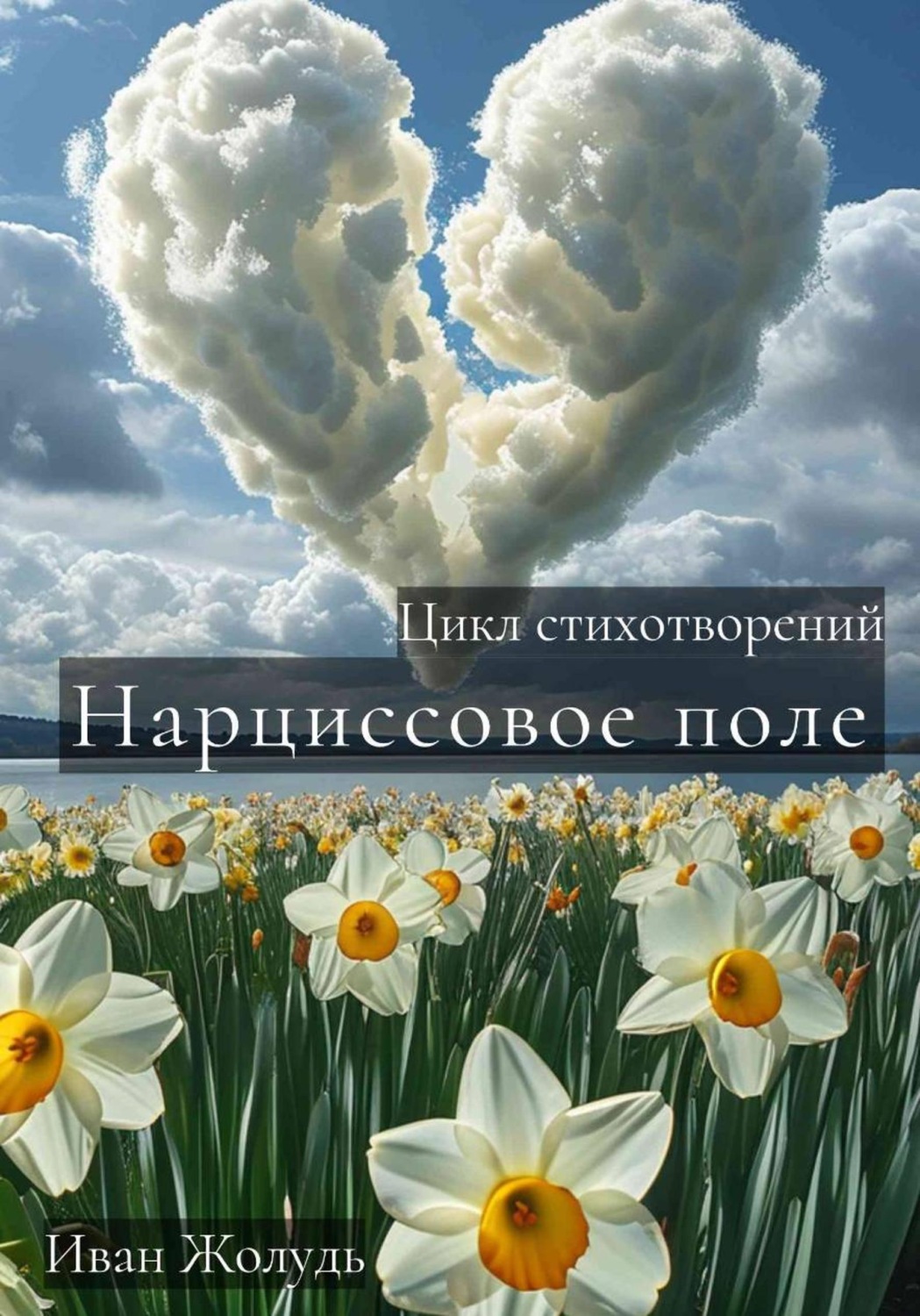Обложка книги «Нарциссовое поле»