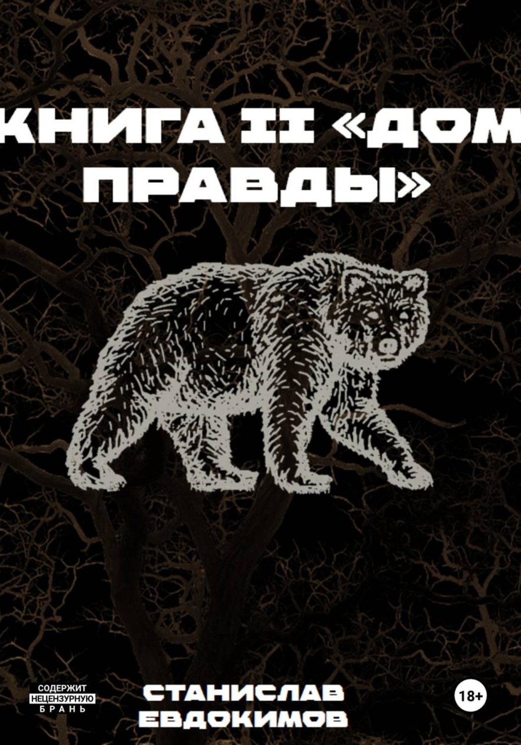 Обложка книги «Книга II: Дом правды»