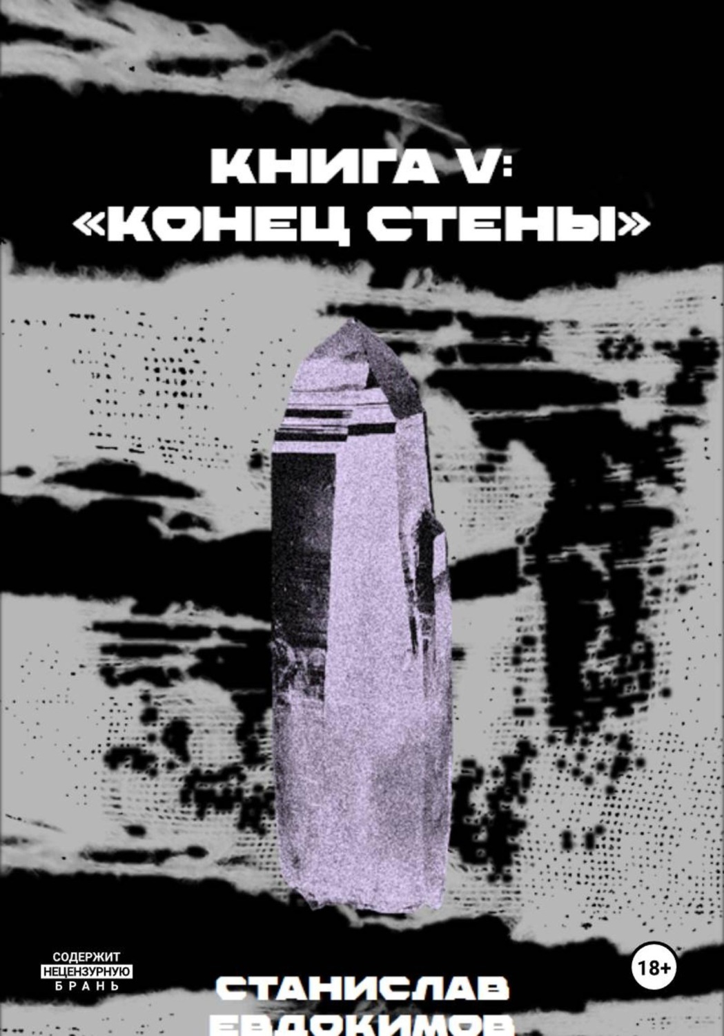 Обложка книги «Книга V: Конец стены»