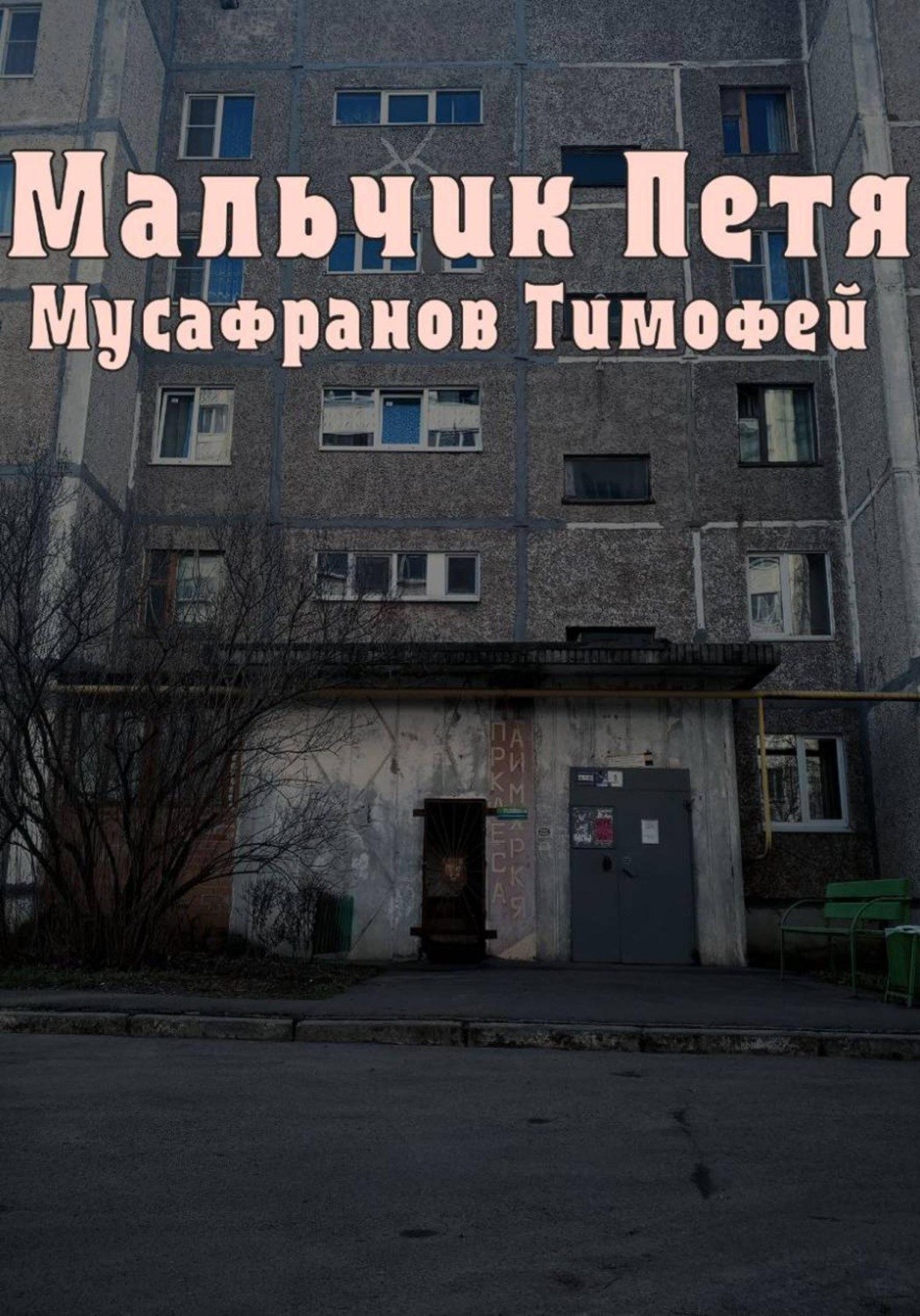 Обложка книги «Мальчик Петя»
