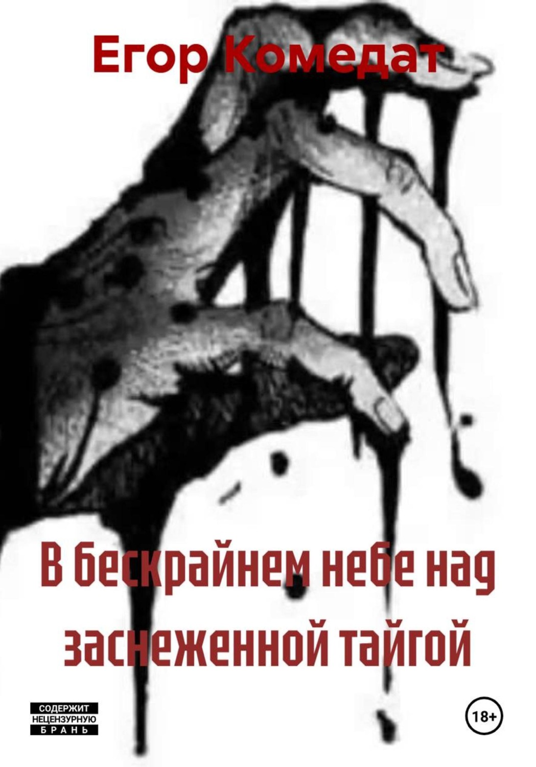 Обложка книги «В бескрайнем небе над заснеженной тайгой»