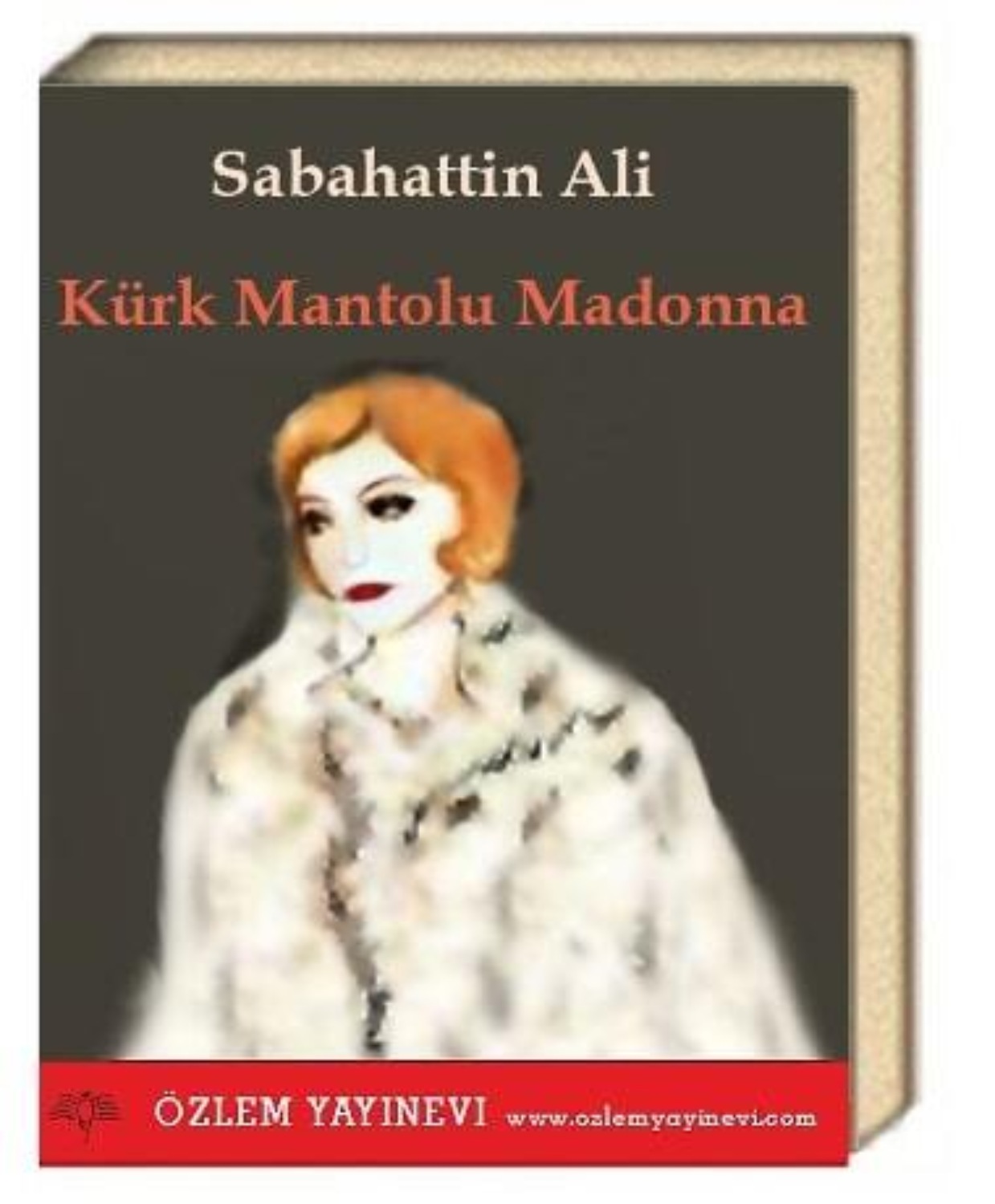 Обложка книги «Kürk Mantolu Madonna»