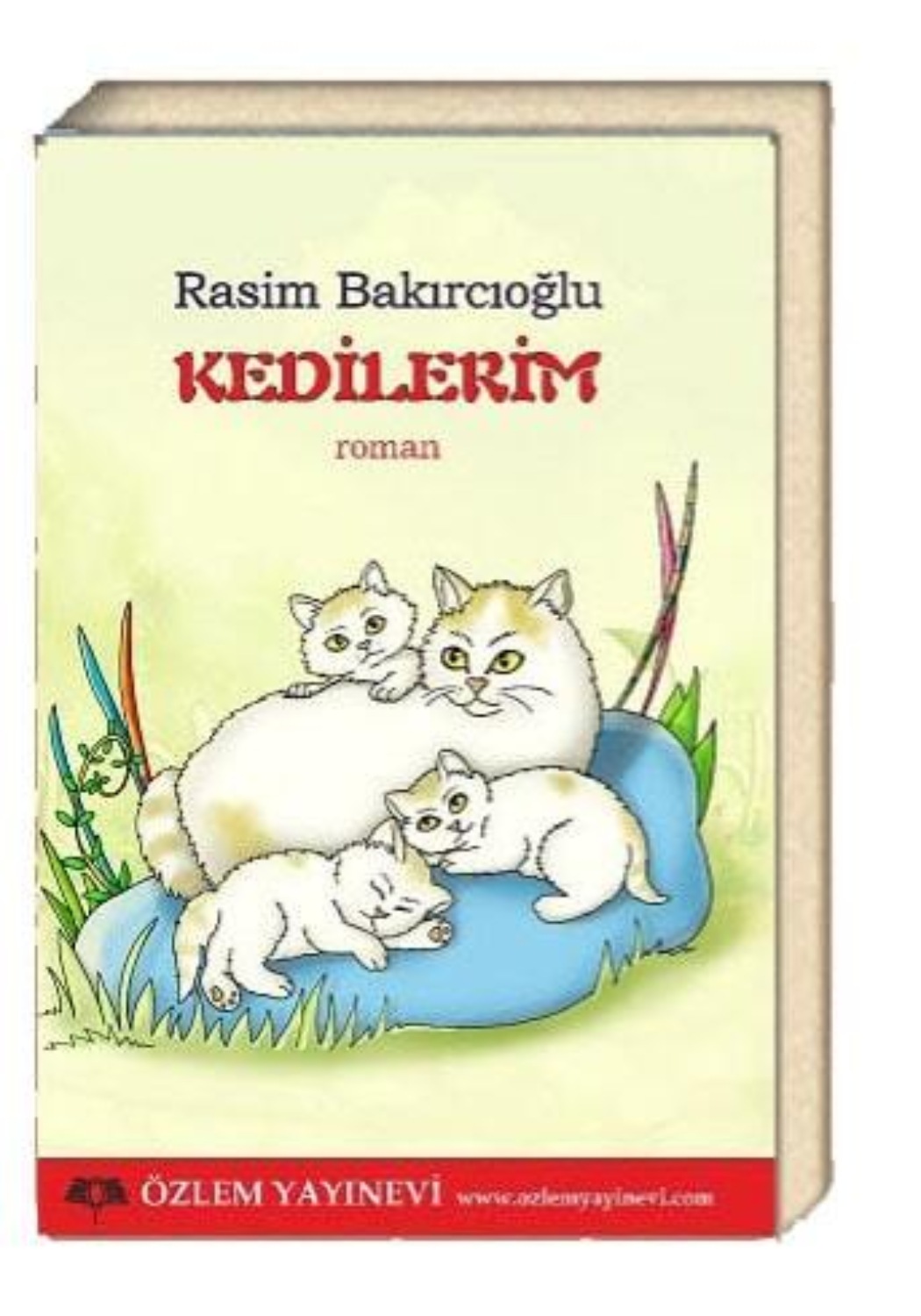Обложка книги «Kedilerim»