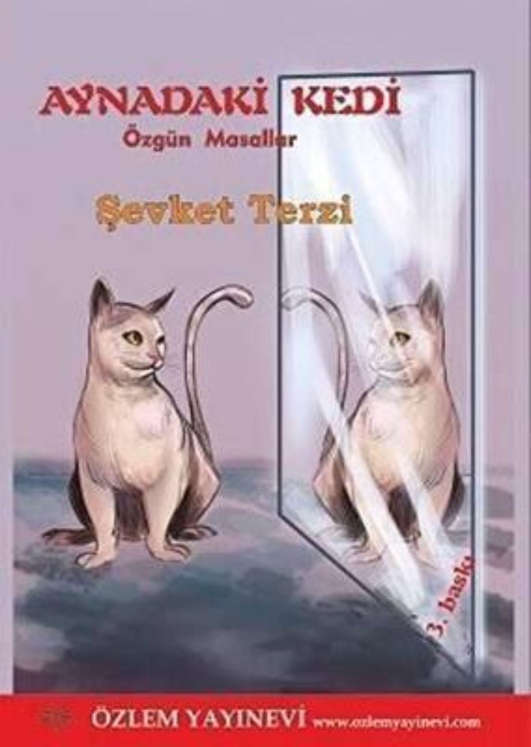 Обложка книги «Aynadaki Kedi»