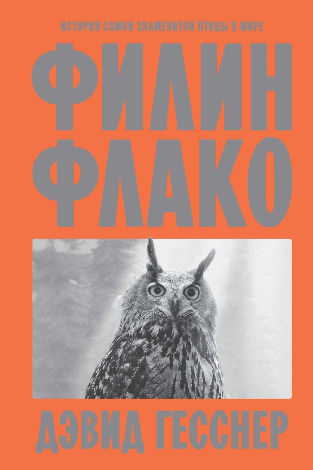 Обложка книги «Филин Флако. История самой знаменитой птицы в мире»
