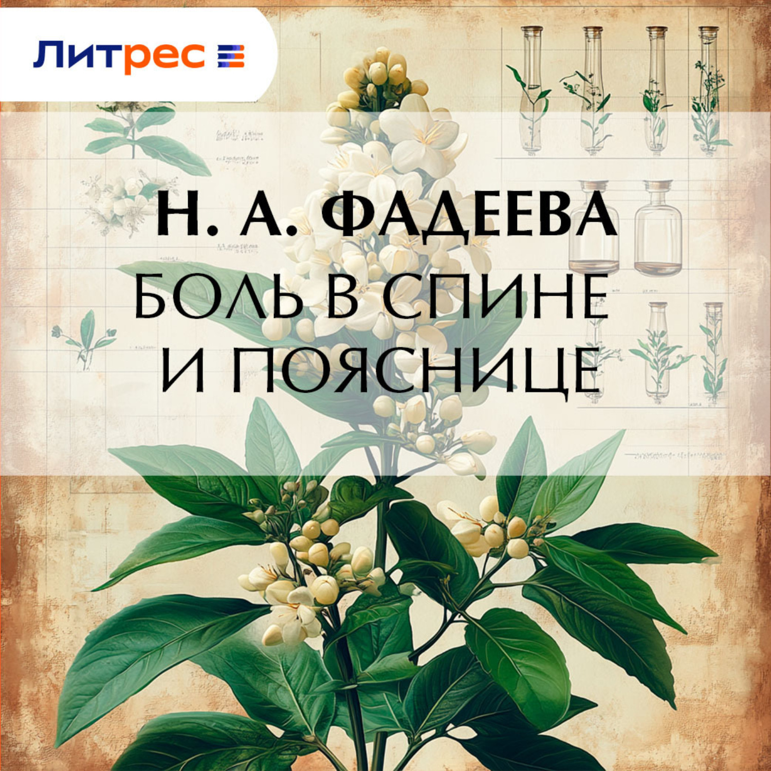Обложка книги «Боль в спине и пояснице»