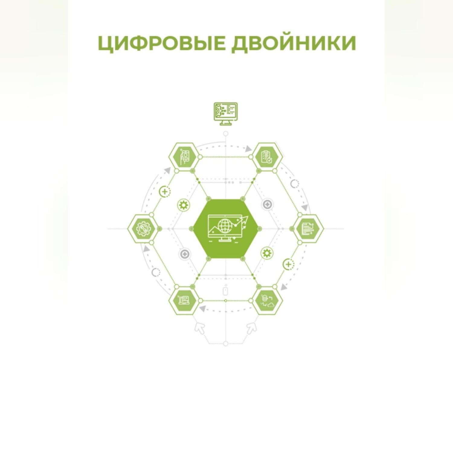 Обложка книги «Цифровые двойники»