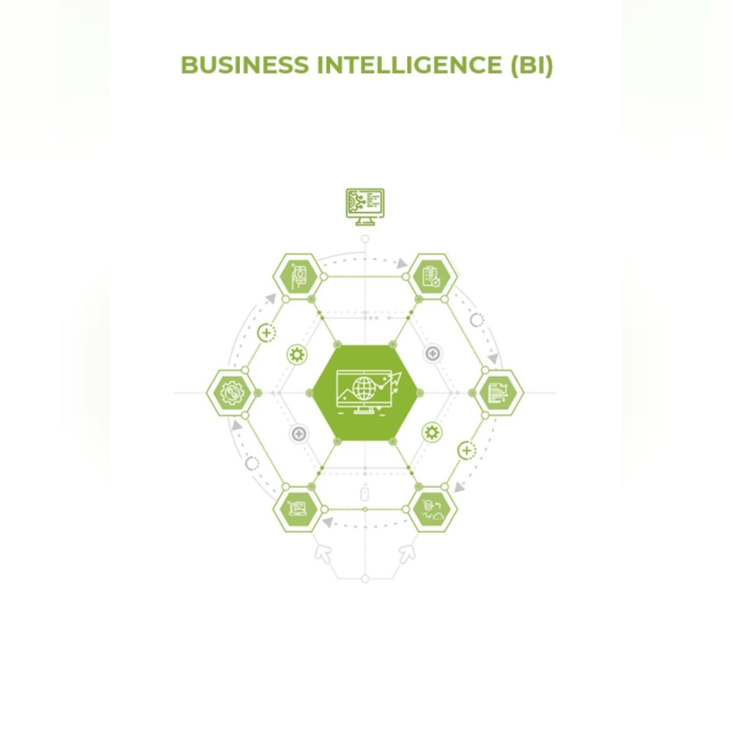 Обложка книги «Business Intelligence (BI)»