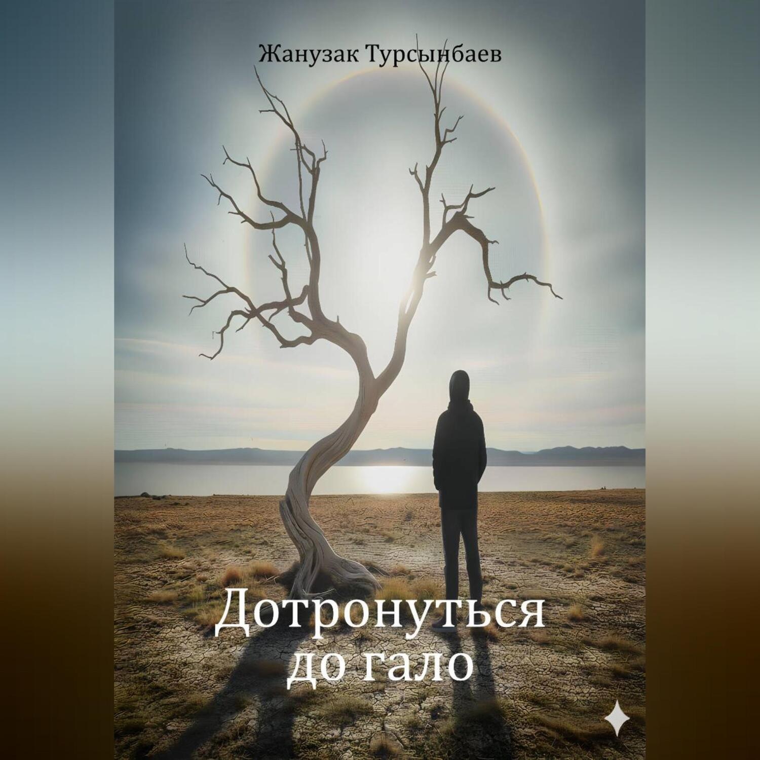Обложка книги «Дотронуться до гало»