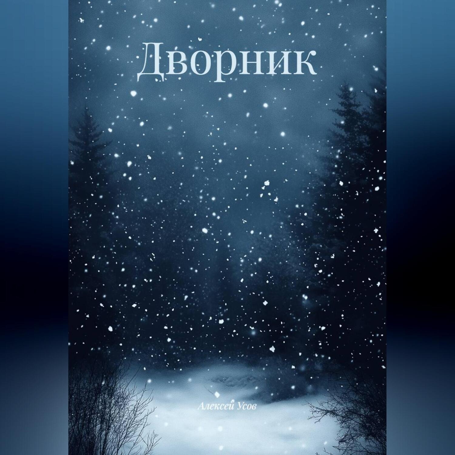 Обложка книги «Дворник»