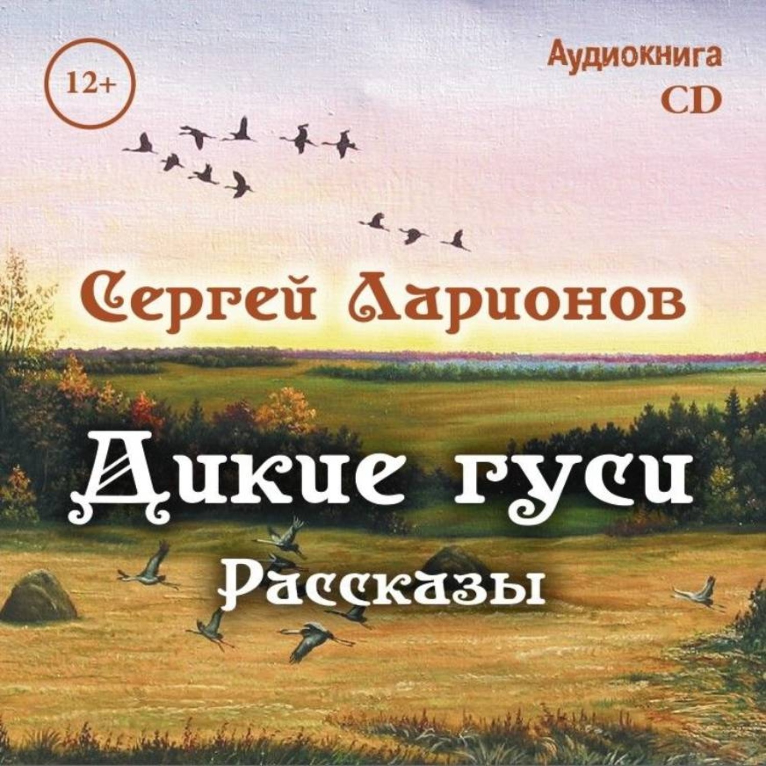 Обложка книги «Дикие гуси. Рассказы»