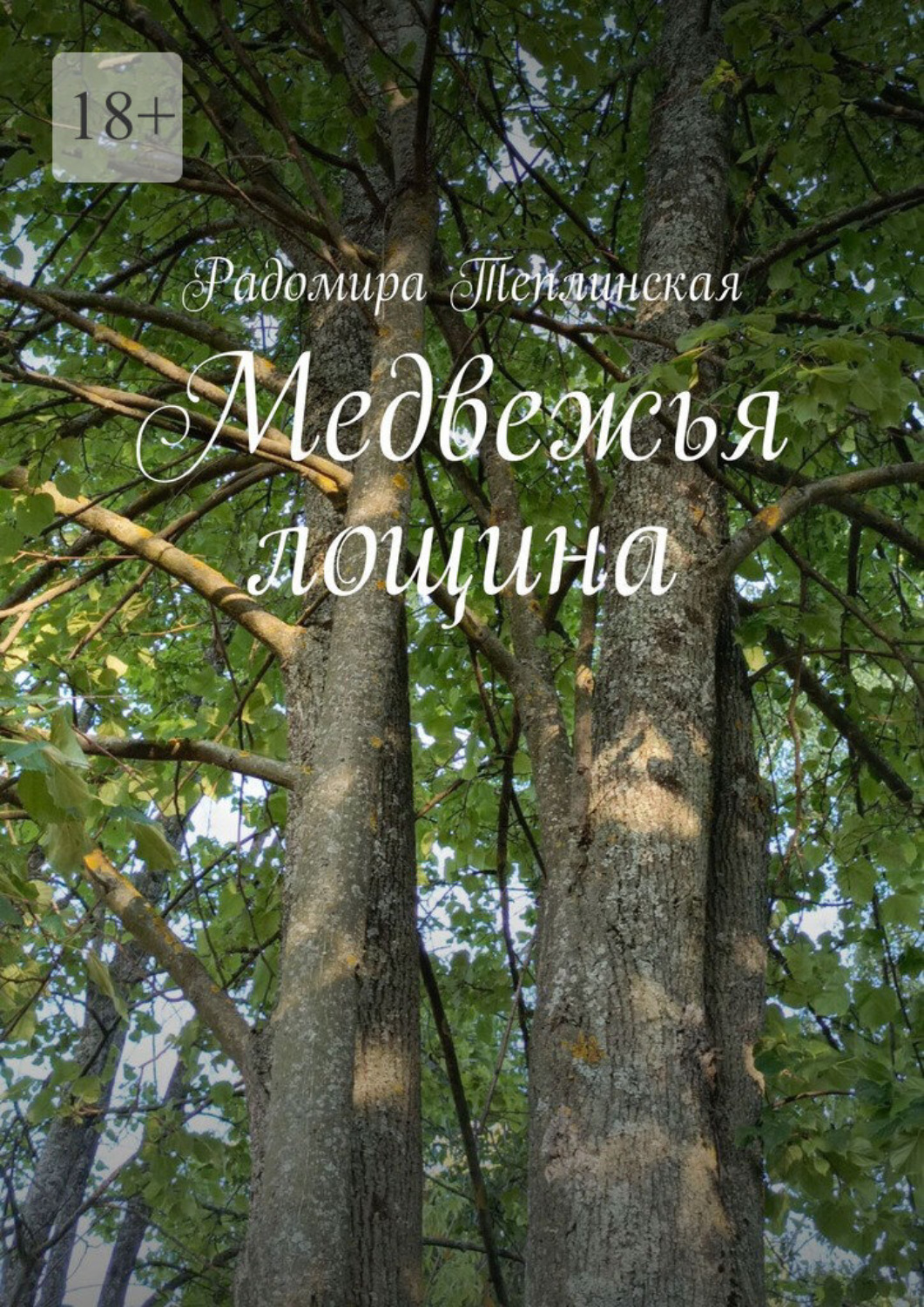 Обложка книги «Медвежья лощина»