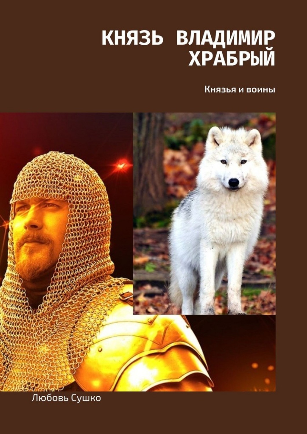 Обложка книги «Князь Владимир Храбрый. Князья и воины»