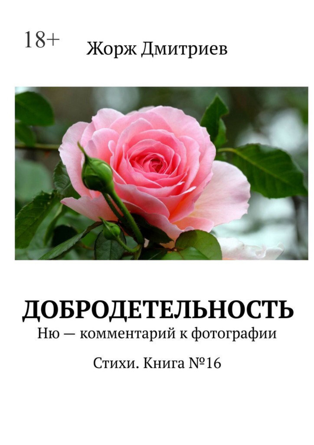 Обложка книги «Добродетельность. Ню – комментарий к фотографии. Стихи. Книга №16»