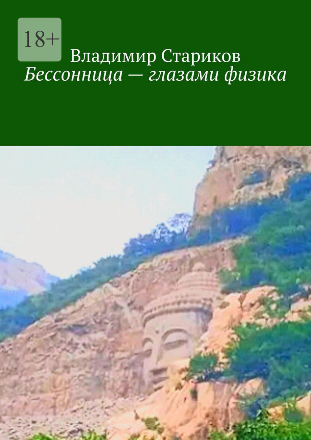 Обложка книги «Бессонница – глазами физика»