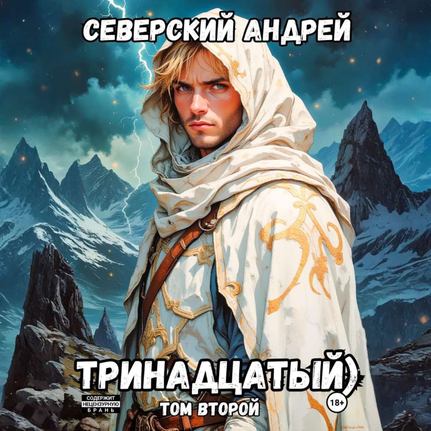 Обложка книги «Тринадцатый. Том 2»