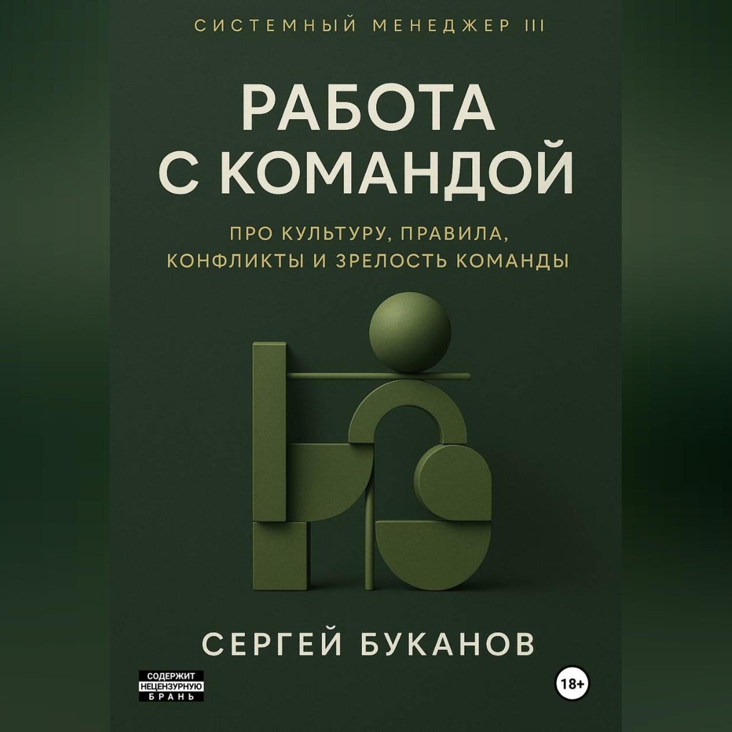 Обложка книги «Работа с командой: Про культуру, правила, конфликты и зрелость команды»