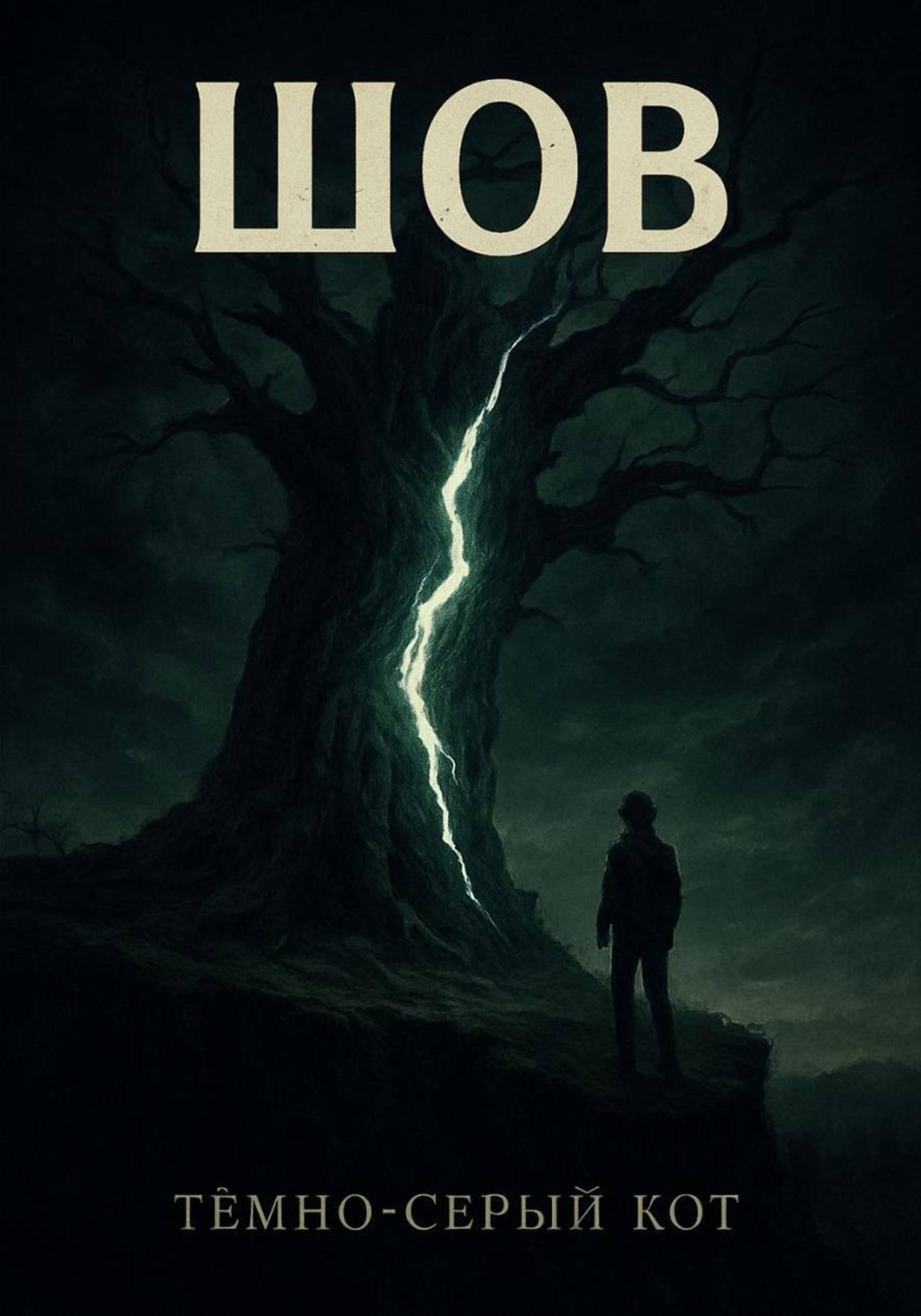 Обложка книги «Шов»