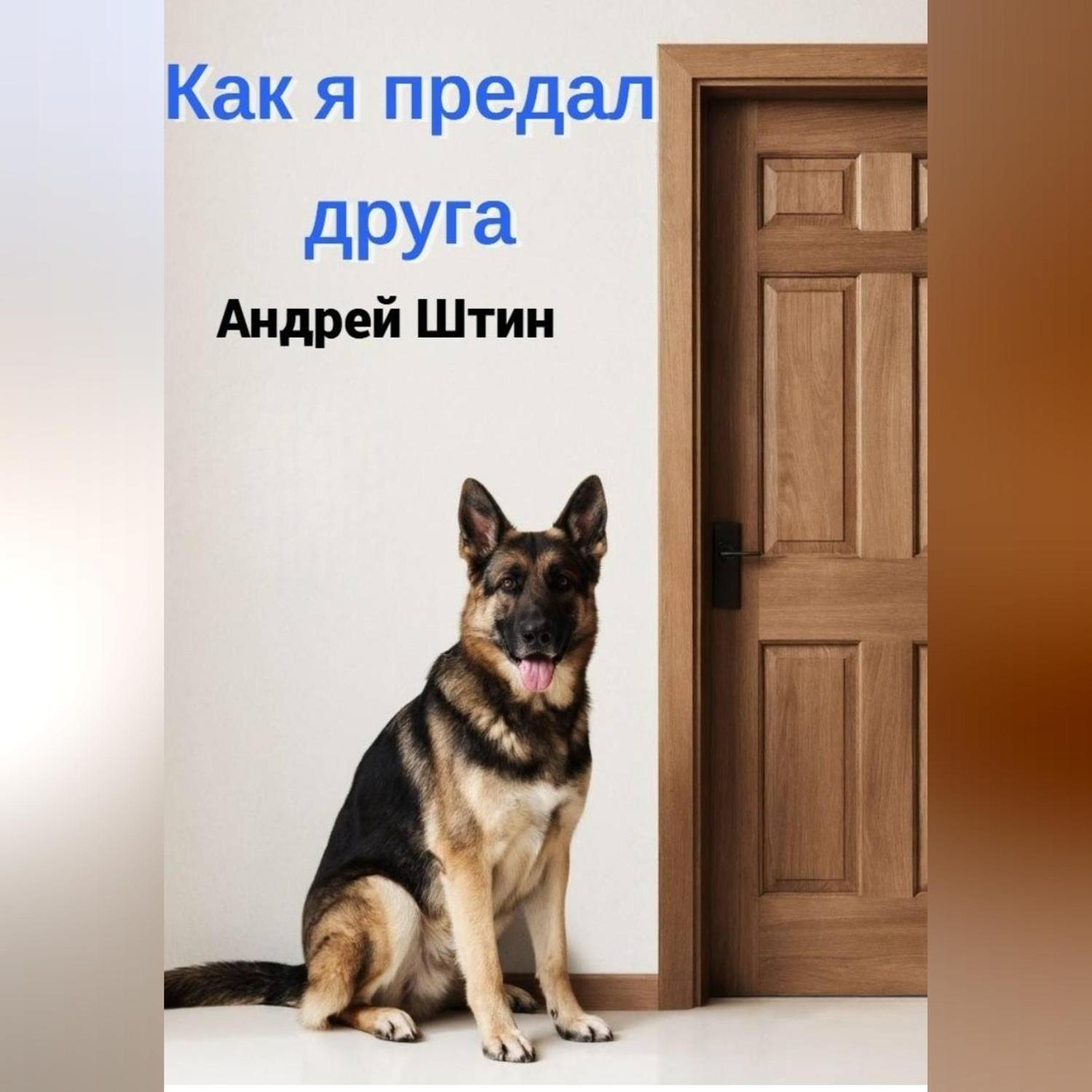 Обложка книги «Как я предал друга»