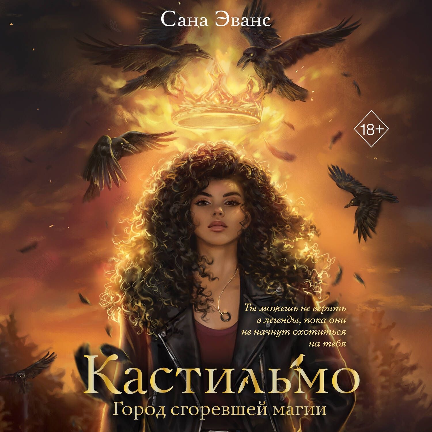 Обложка книги «Кастильмо. Город сгоревшей магии»