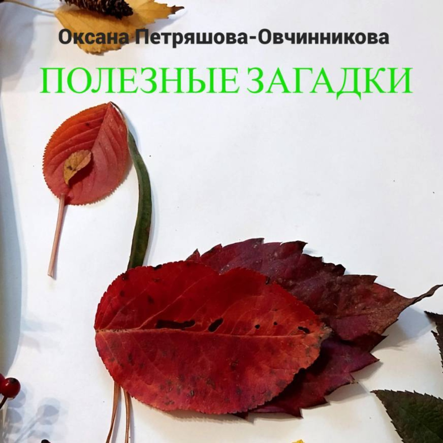 Обложка книги «Полезные загадки»