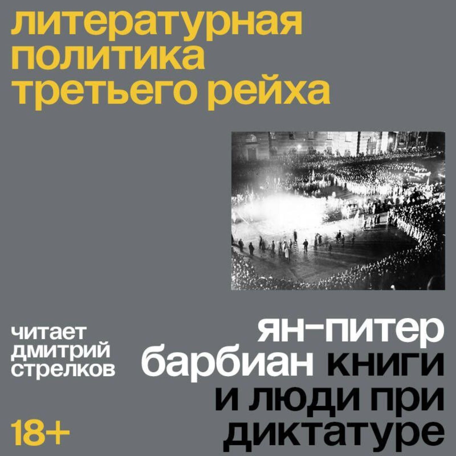 Обложка книги «Литературная политика Третьего рейха. Книги и люди при диктатуре»