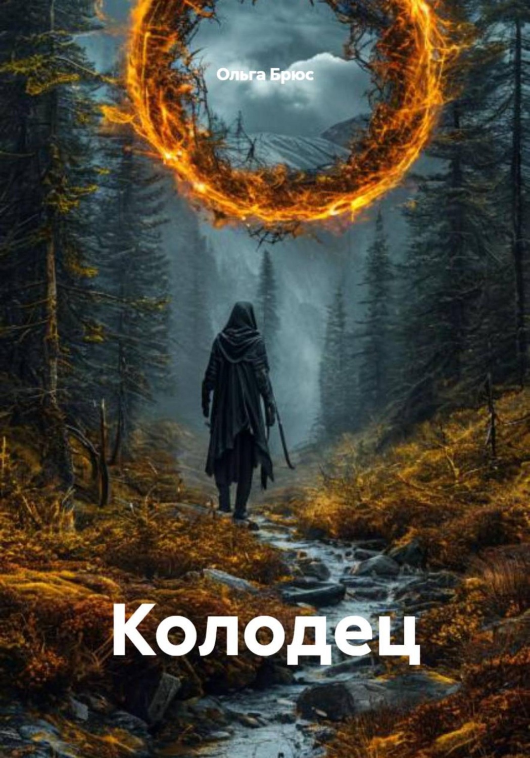 Обложка книги «Колодец»
