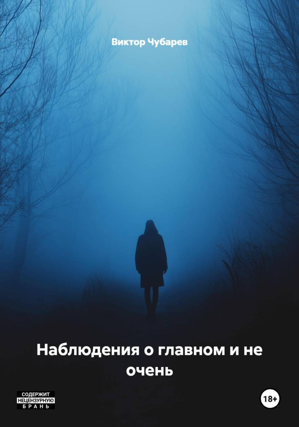 Обложка книги «Наблюдения о главном и не очень»
