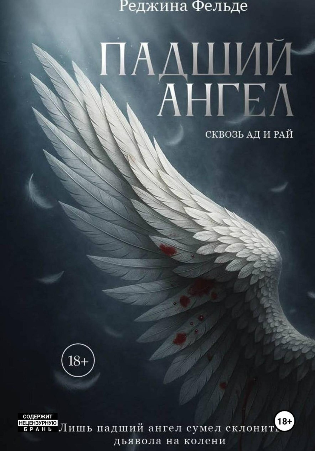 Обложка книги «Падший Ангел. Сквозь Ад и Рай»