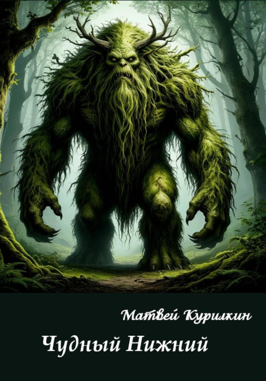 Обложка книги «Чудный Нижний»