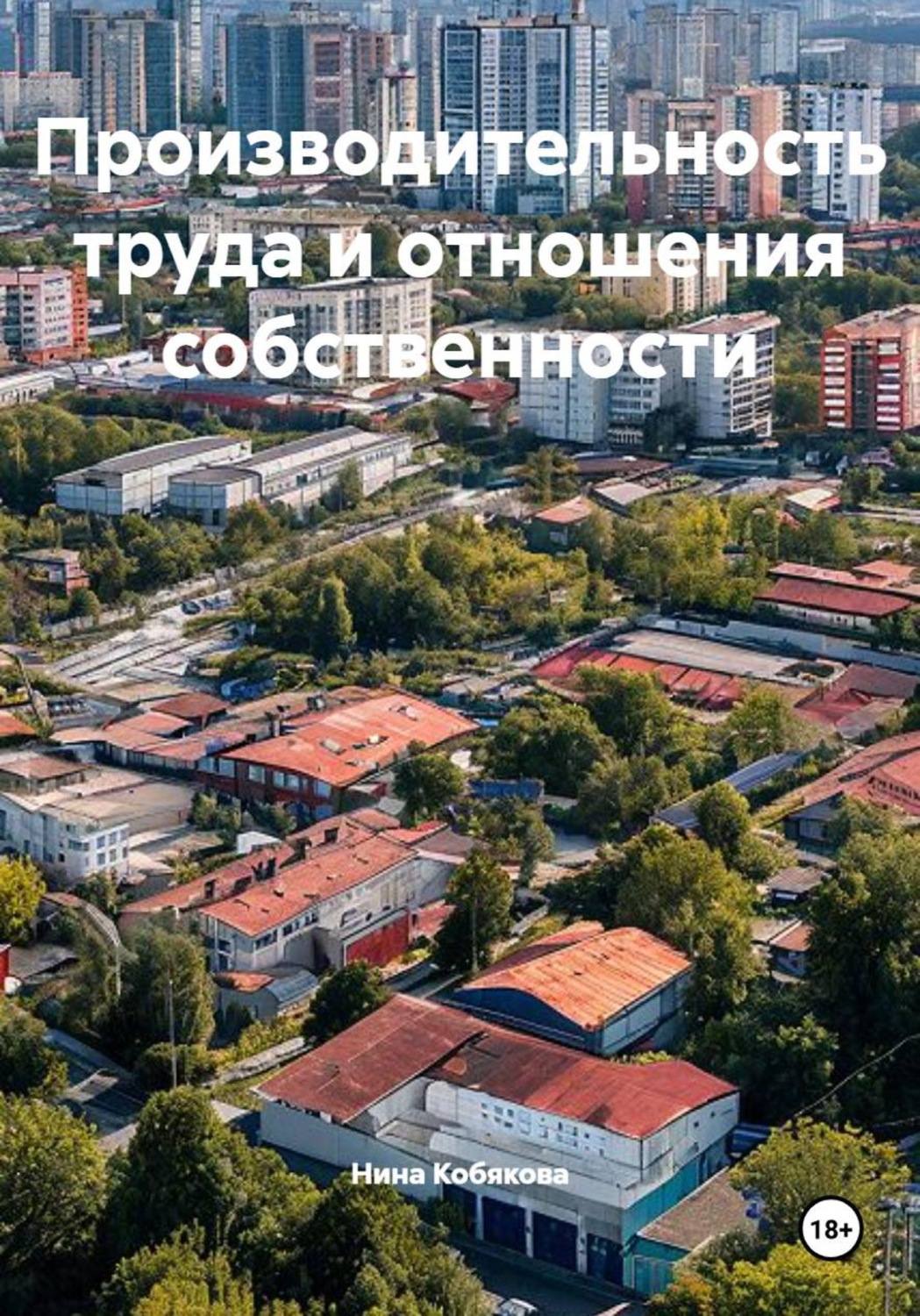 Обложка книги «Производительность труда и отношения собственности»