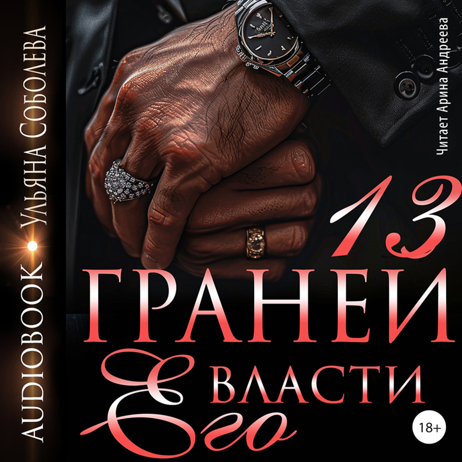 Обложка книги «13 граней его власти»