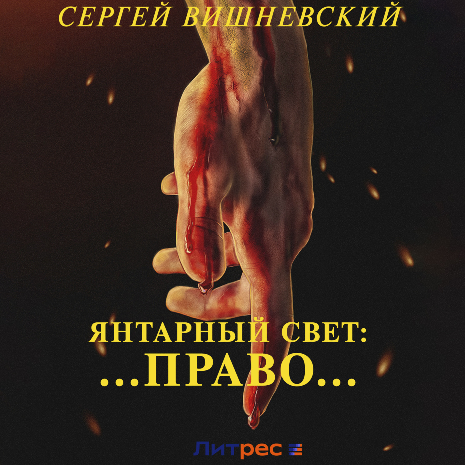 Обложка книги «Янтарный свет: …Право…»