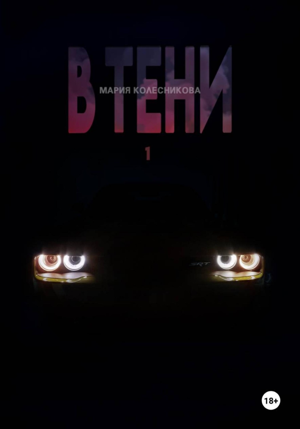 Обложка книги «В тени 1»