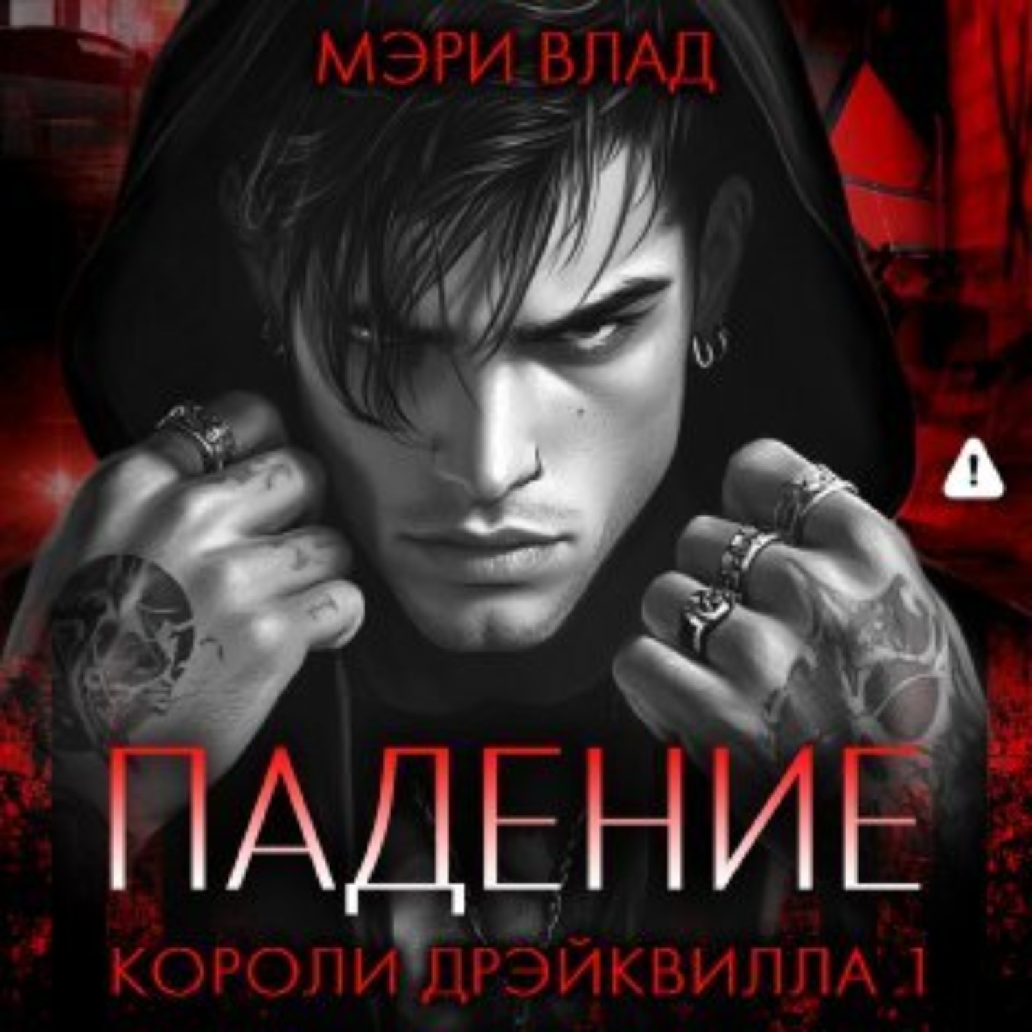 Обложка книги «Короли Дрэйквилла. Падение»