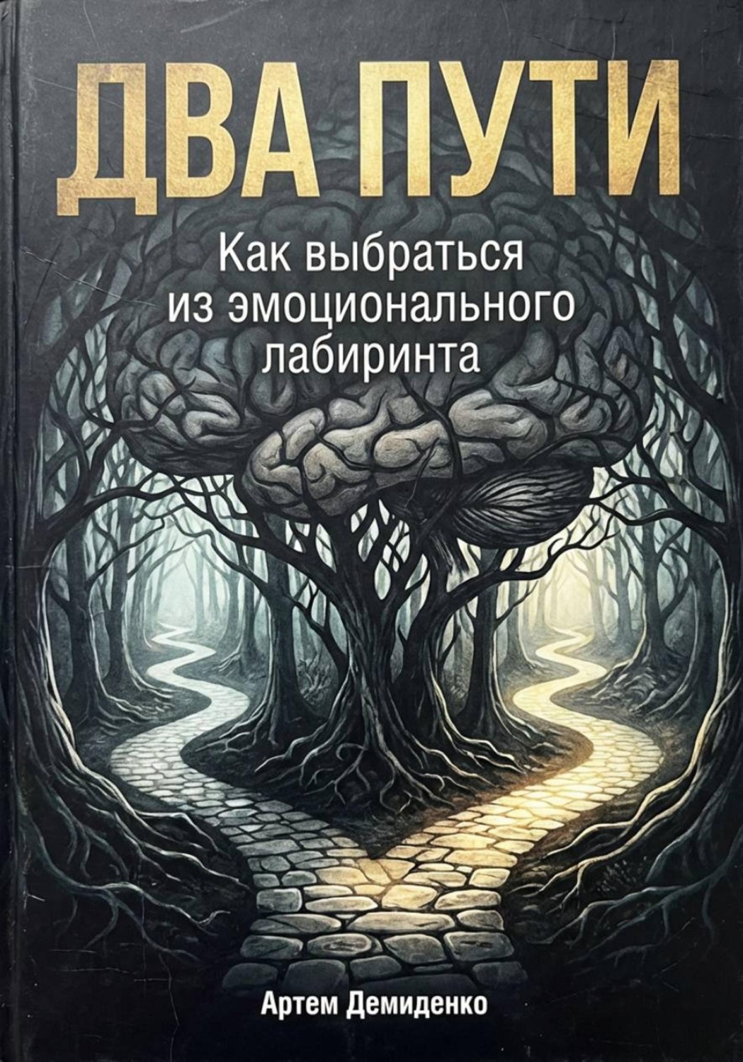 Обложка книги «Два пути: Как выбраться из эмоционального лабиринта»