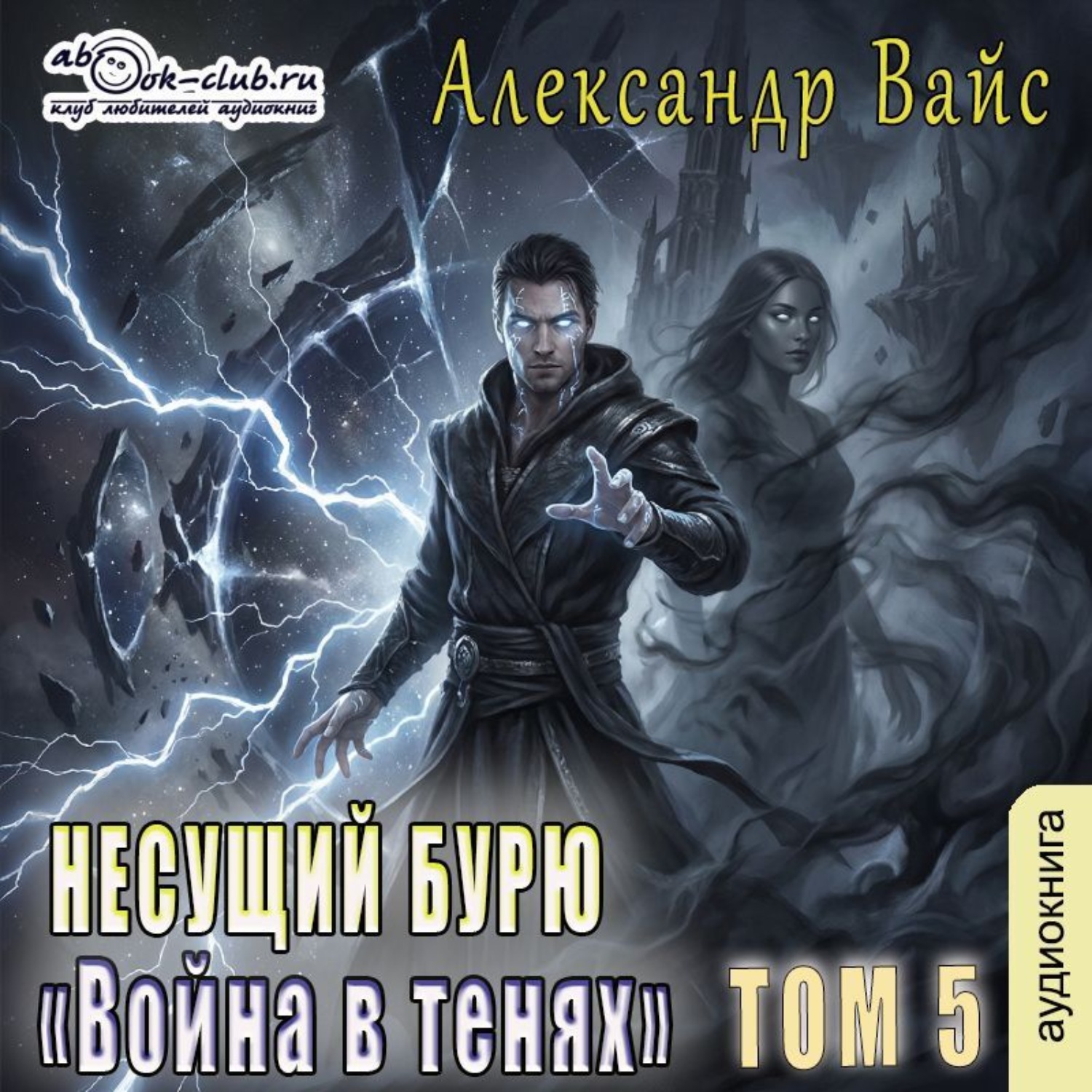 Обложка книги «Несущий бурю. Том V. Война в тенях»