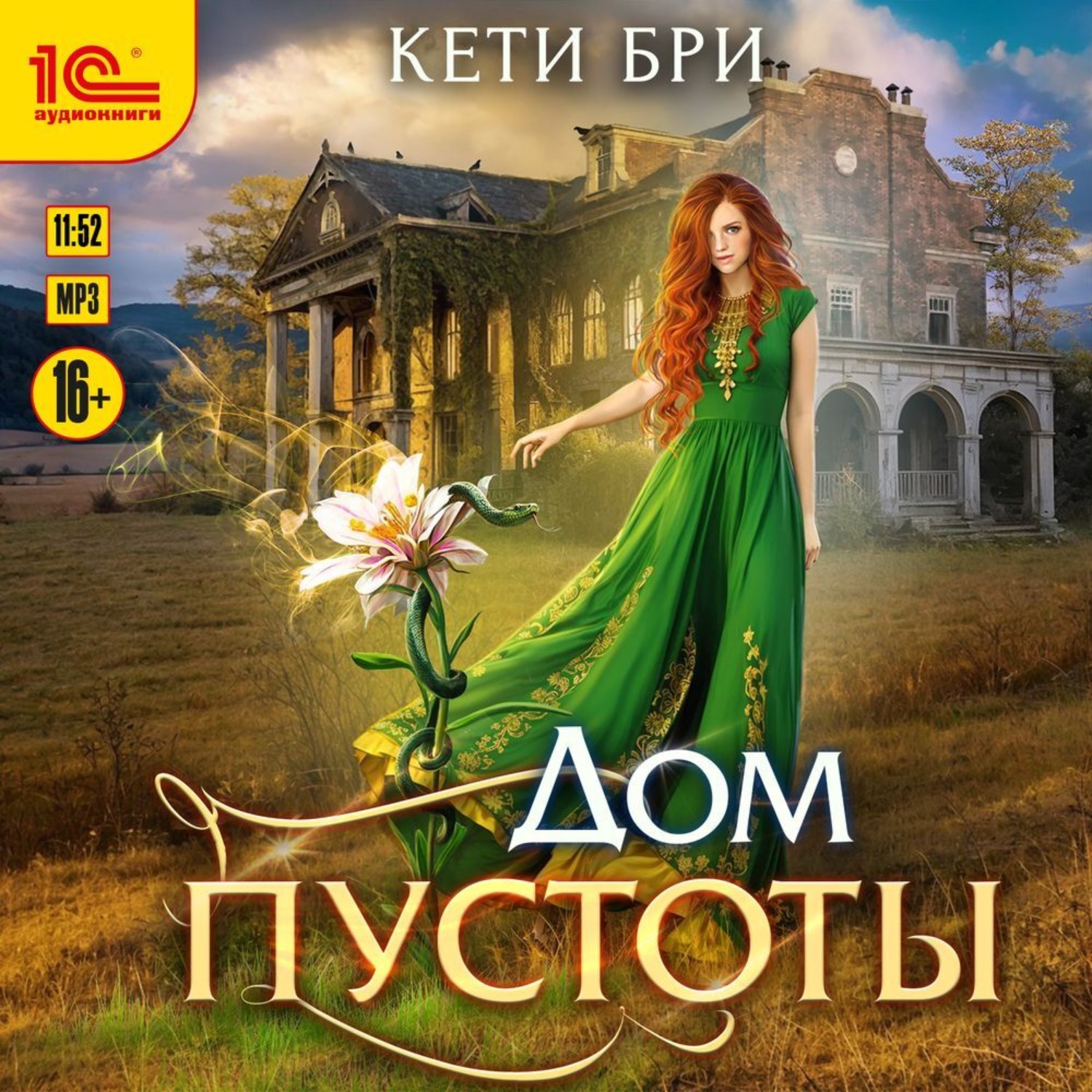 Обложка книги «Дом пустоты»