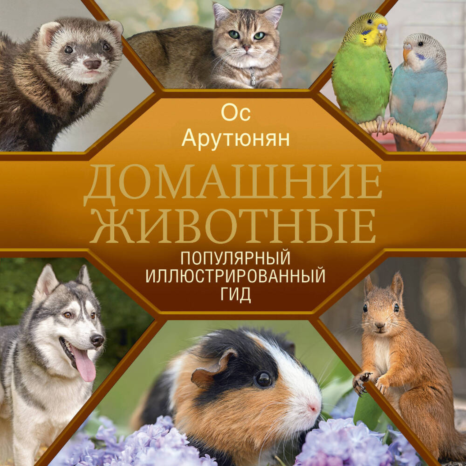 Обложка книги «Домашние животные»