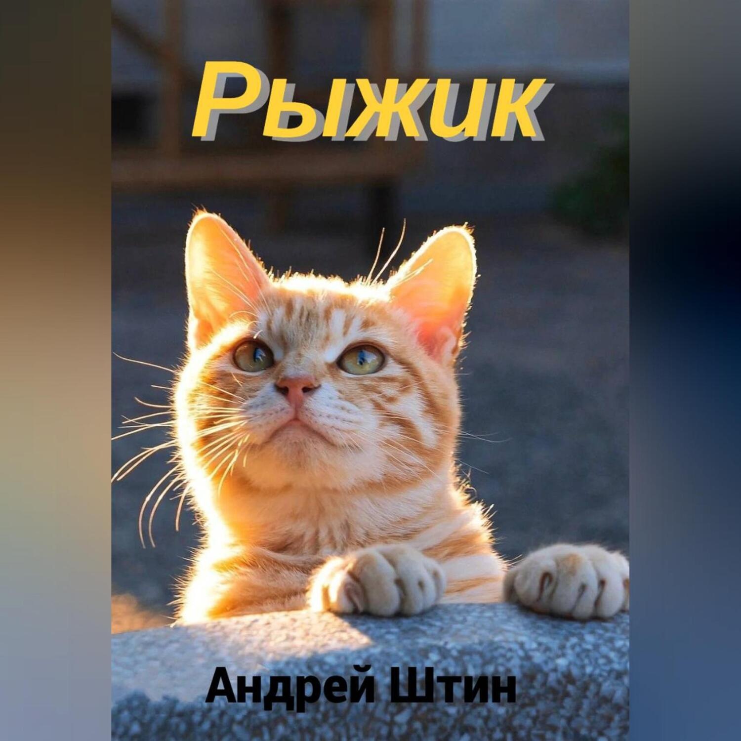 Обложка книги «Рыжик»