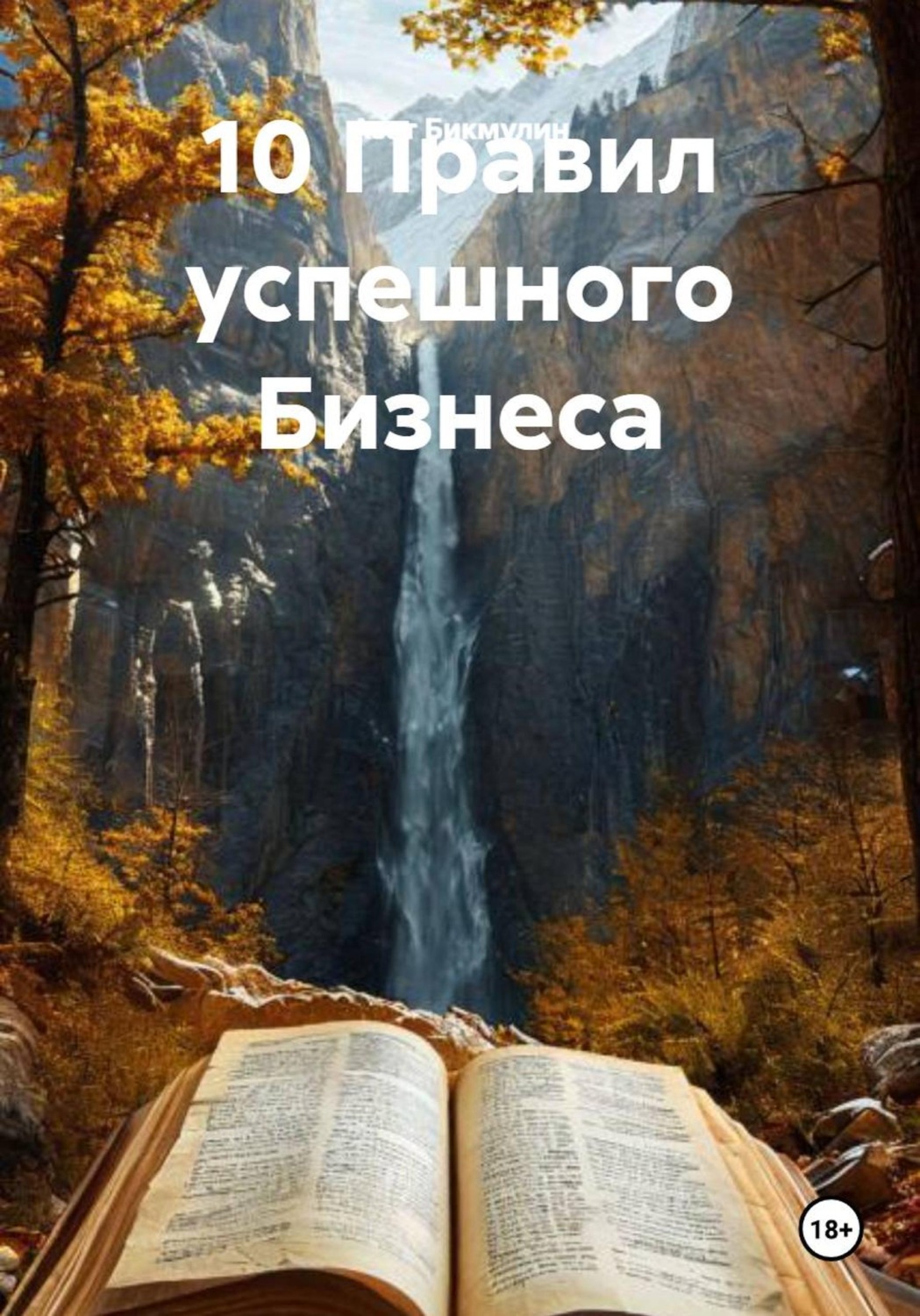 Обложка книги «10 Правил успешного Бизнеса»