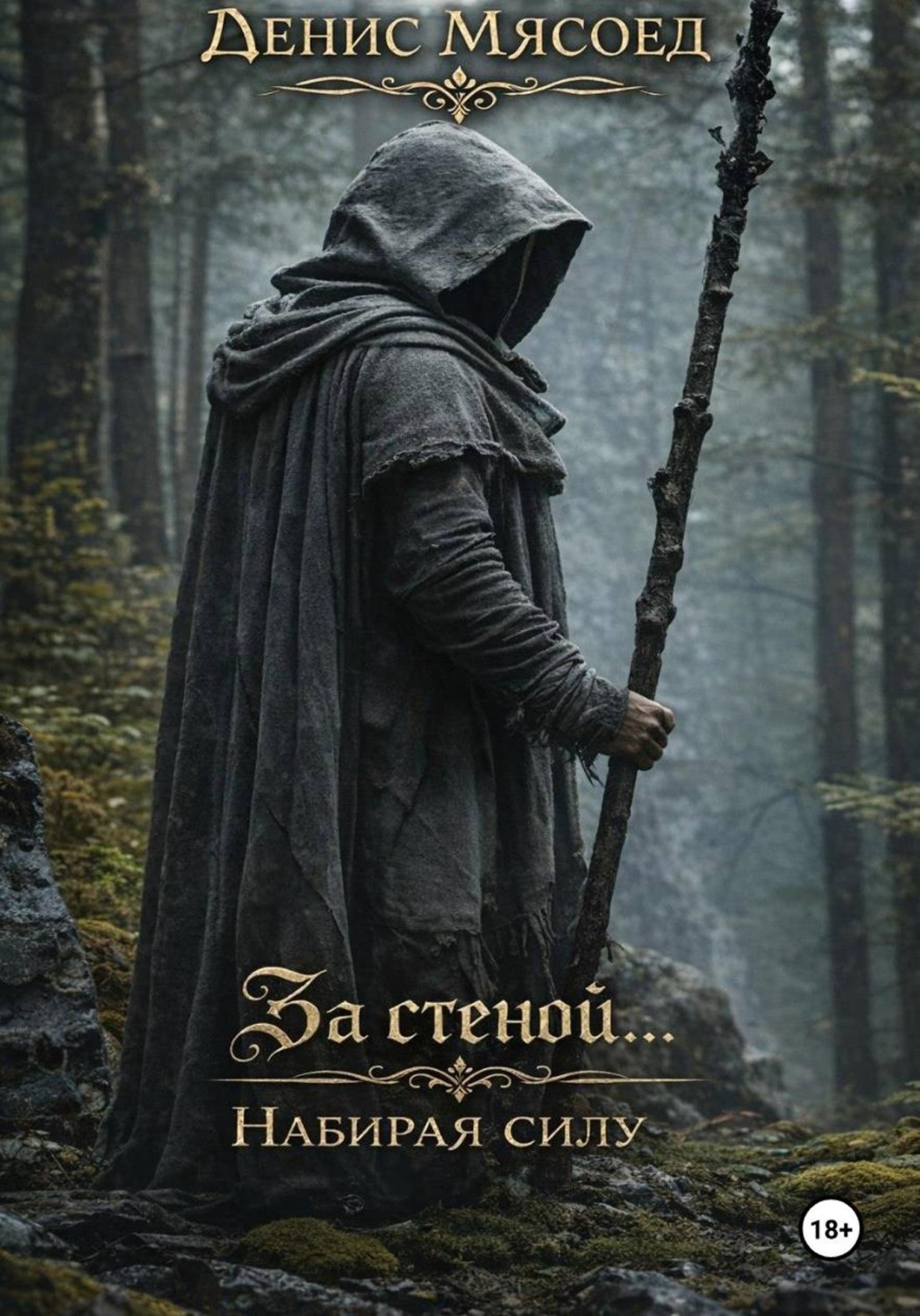 Обложка книги «За стеной... Набирая силу»